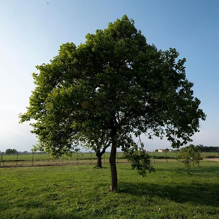 Cameriano Agriturismo Cascina Graziosa מראה חיצוני תמונה